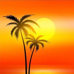 Meet your Posher, Lily